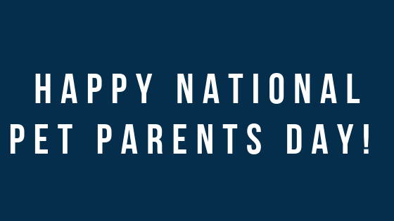 Happy National Pet Parents Day!