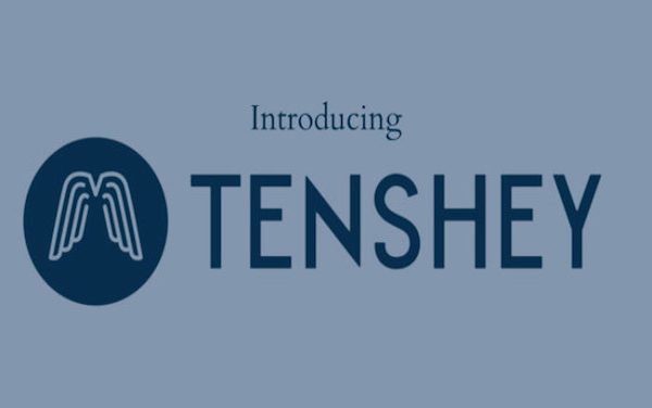 Introducing Tenshey, Inc.: Advancing Gender Diversity through Executive Coaching